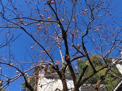 -篁岭景区