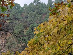 -北京上方山国家森林公园