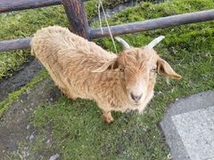 -新疆那拉提国家旅游度假区