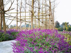-洪湖家庭农场·团建·露营·会议