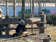 -西霞口神雕山野生动物世界