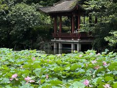 -西湖公园(鼓楼区)