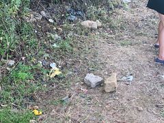 -大塘金香草谷