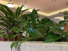 -东北师大净月校区食堂