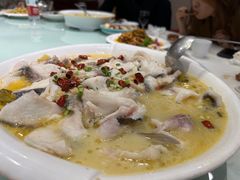 -陶然饺子城(奥体中路店)