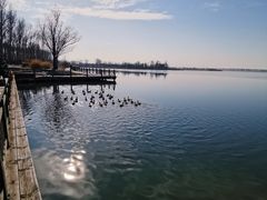 -野鸭湖国家湿地公园