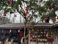 -青城甲(青城山店)