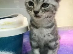 -乐宠宠物店(世纪金源店)