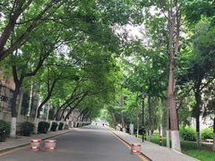 -山东师范大学(千佛山校区)