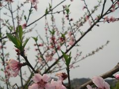 -大罗山风景区
