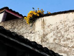 -黄龙溪古镇