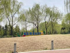 -莫子山公园