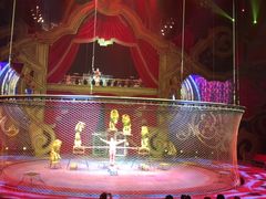 -珠海横琴长隆《卡卡虎奇遇记》