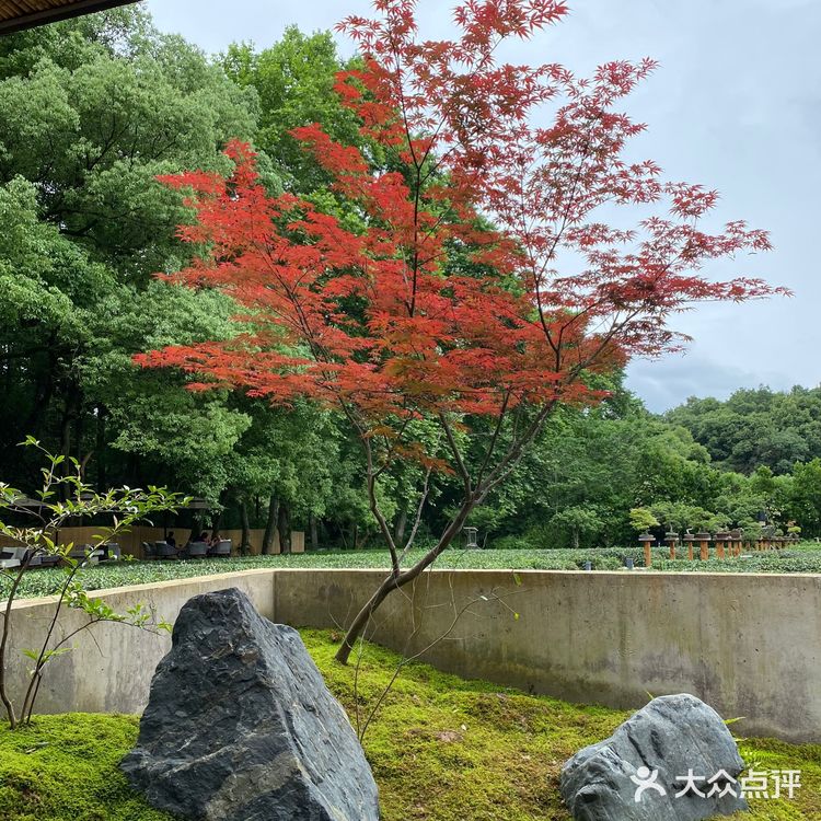 杭州旅游 | 青竺茶食 
