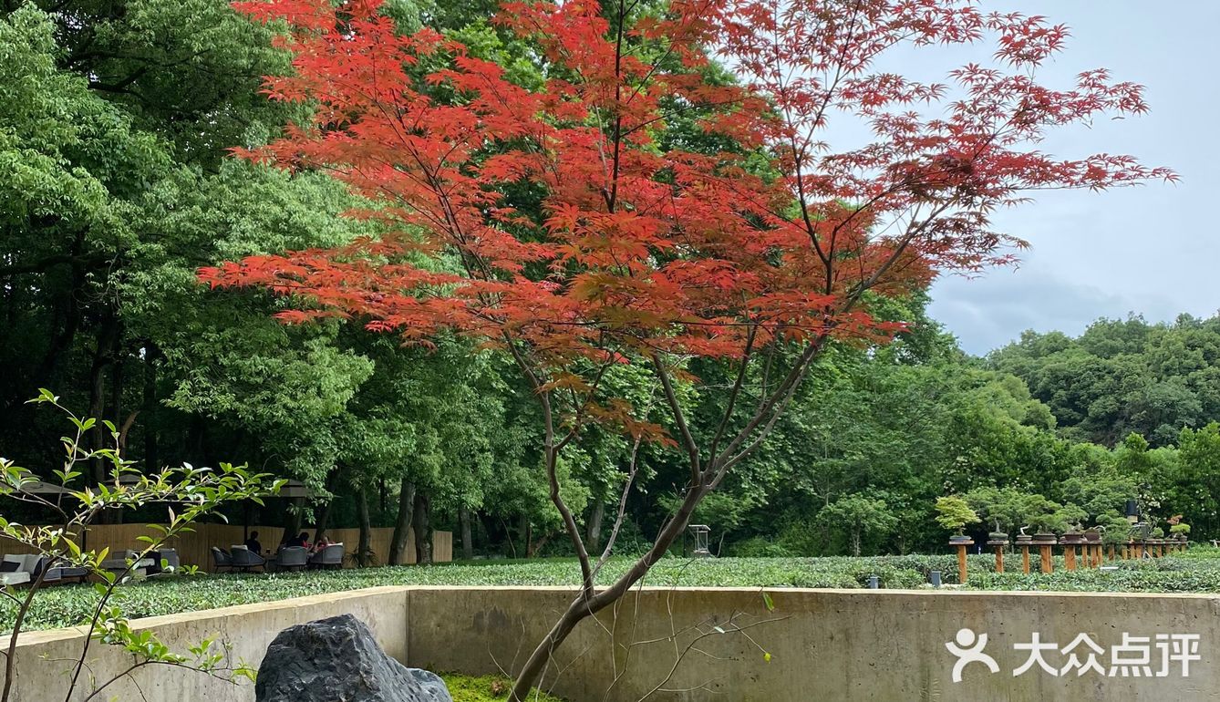 杭州旅游 | 青竺茶食 