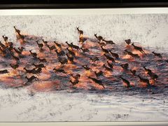 -罗红摄影艺术馆