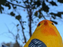 -圣露庄园·露营·烤肉·亲子