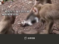 -昆明动物园