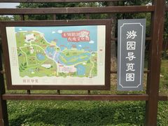 -鹅湖玫瑰文化园