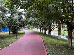 -两河城市森林公园