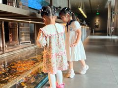 -CHIC1699远洋私厨