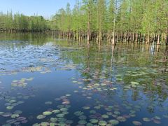 -白鹭湾湿地公园