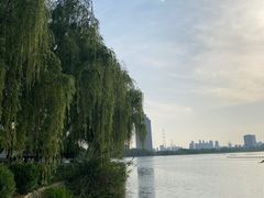 -金银湖国家城市湿地公园
