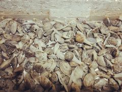 -云的侧面音乐餐吧(丰马牛餐饮广场店)
