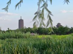 -永定河休闲森林公园