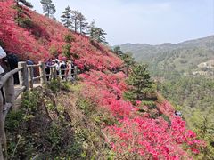 -木兰云雾山
