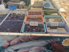 -南沙十九涌渔人码头-南门