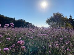 -云峰山自然风景区