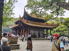 -普陀山风景名胜区-法雨禅寺