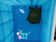 -水韵·渔家臻品私房菜(中庙店)