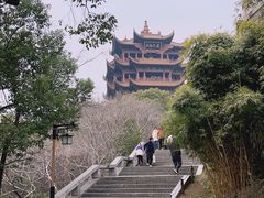 -黄鹤楼公园(黄鹤楼)