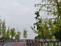 -府河摄影公园