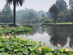 -墨尔本皇家植物园