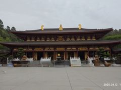-庐山风景名胜区-东林大佛