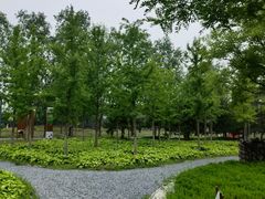 -东郊湿地公园
