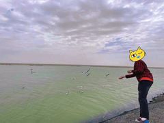 -敦煌雅丹国家地质公园