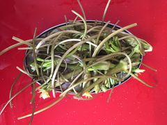 iphone_upload_pic-羊肉大仙(金凯广场店)
