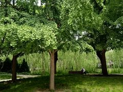 -元大都城垣遗址公园