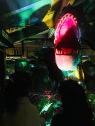 -恐龙探索乐园(磁器口店)