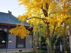 -国家图书馆·古籍馆
