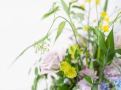 -荷兰布尔玛国际花艺学院