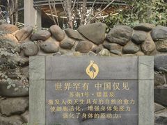 -张家港金凤凰度假村温泉