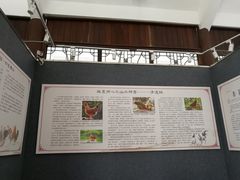 -飞来湖湿地公园