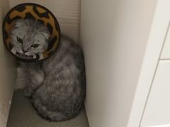 -美美宠物诊疗中心·异宠·骨科(滨江东信分院)
