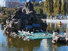 -团结湖公园