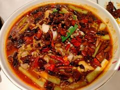 -宏宴·新京菜(望京店)